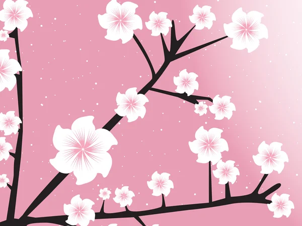free pink background images. Elements on pink background