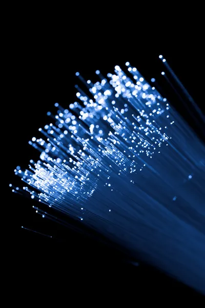 Ethernet  Fiber Optic on Blue Fiber Optic Isolated Over Black   Stock Photo    Olga Miltsova