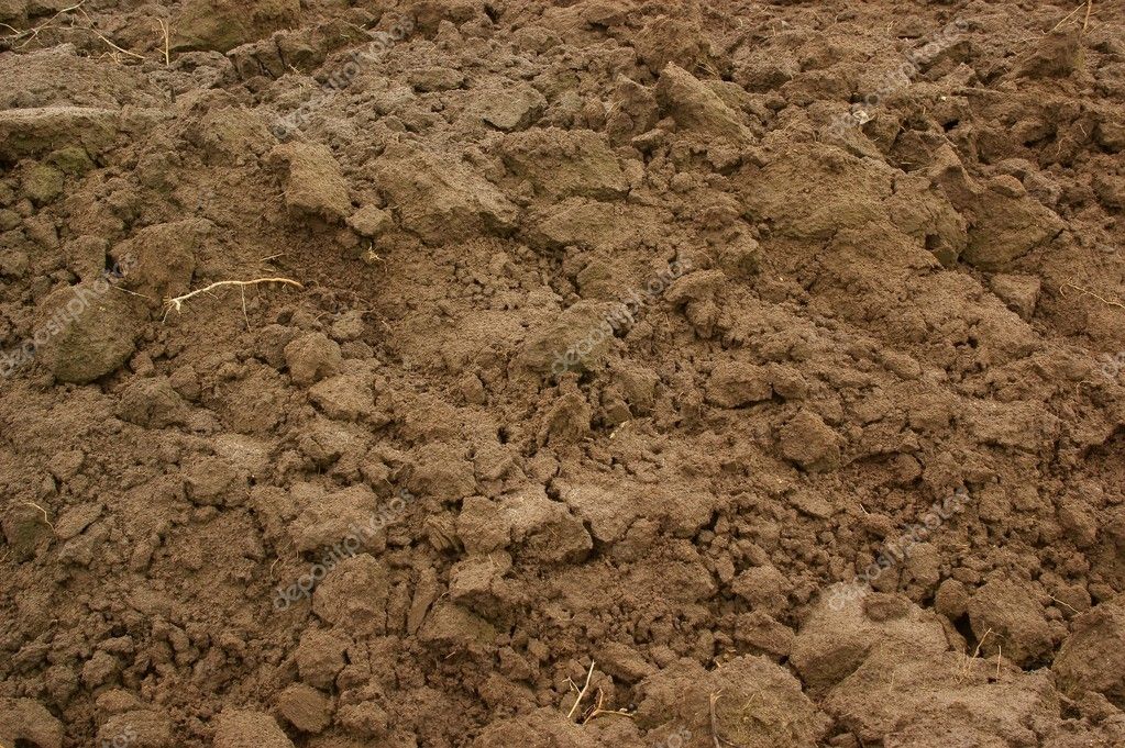 brown soil