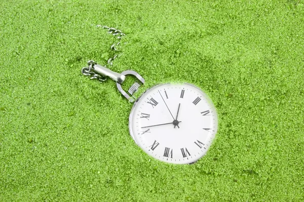 Old pocket watch buried in green sand