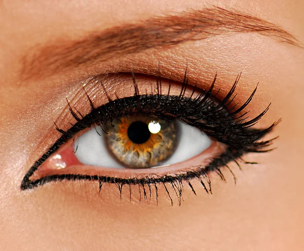 Woman close-up eye. False lashes. Liner.