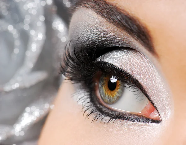 Fashion make-up of Woman eye