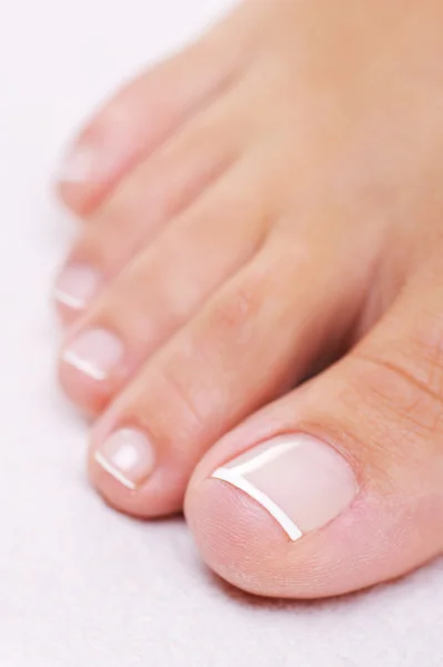 Female foot with a french pedicure