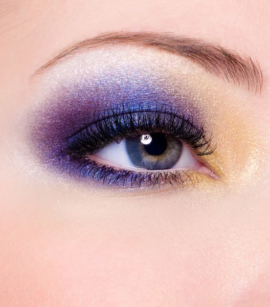 Fashion makeup of a female eye
