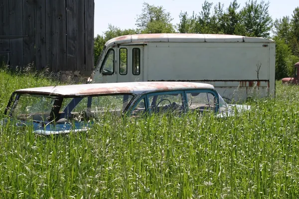 Old car and truck in tall grass