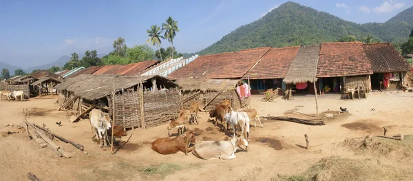 Homes and cattle of a tribal village