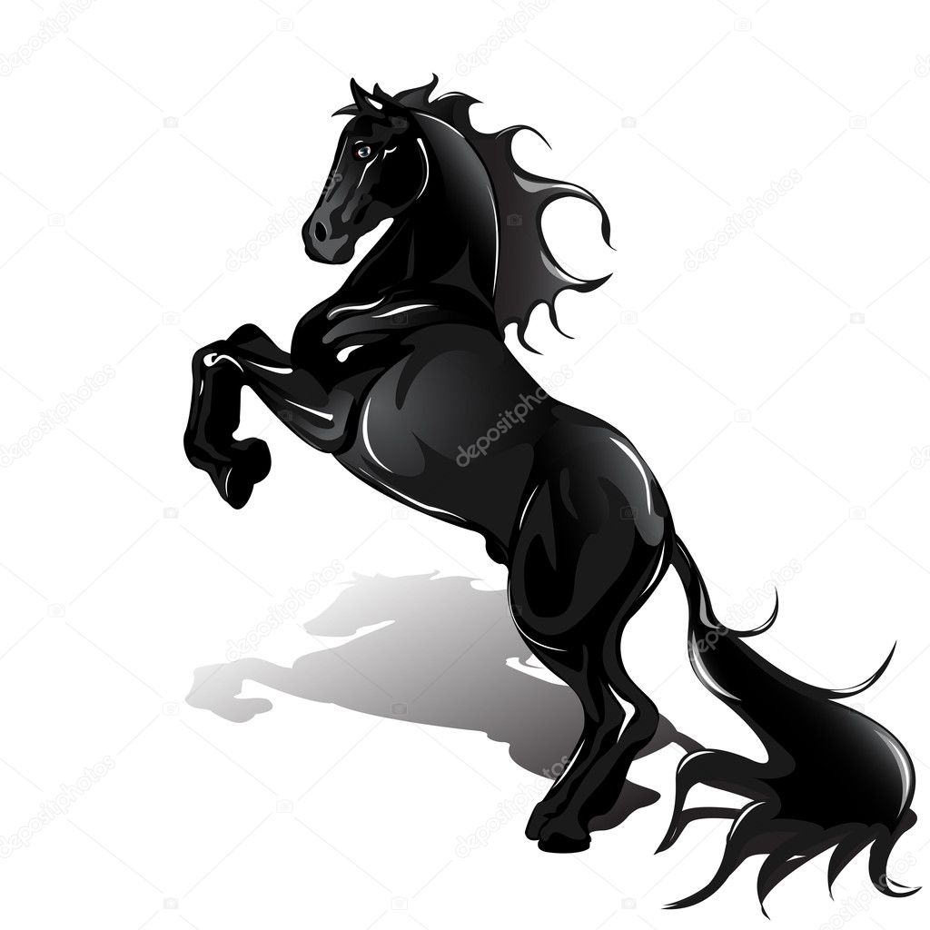 Black Horse Images