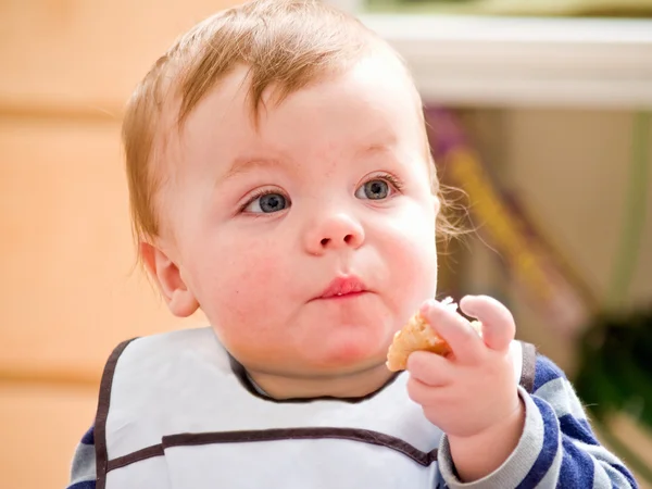 Cute little baby boy eating bread