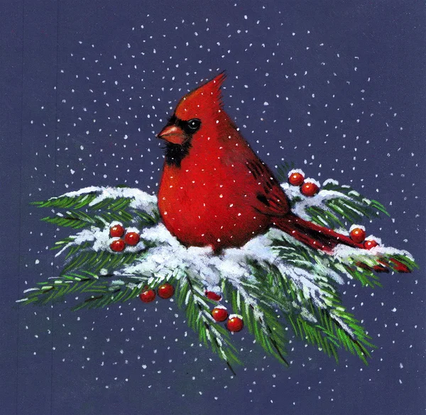 Color Drawing of a Cardinal in Winter