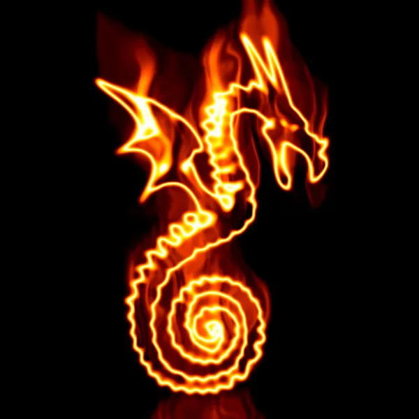 Dragon surrounded by fire on a white bac