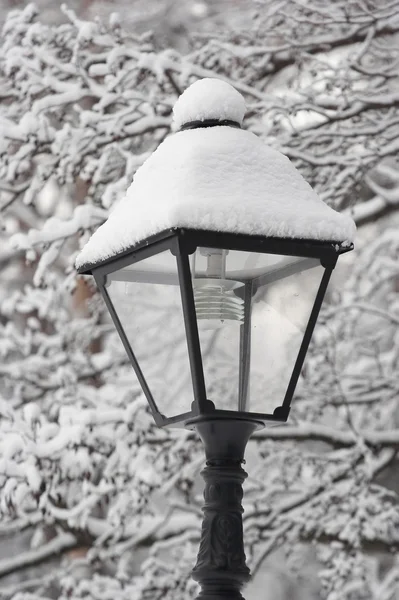Park lantern in a snow