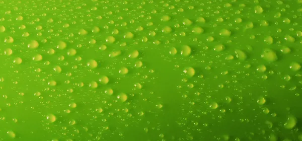 Green water drops background — Stock Photo #1713129