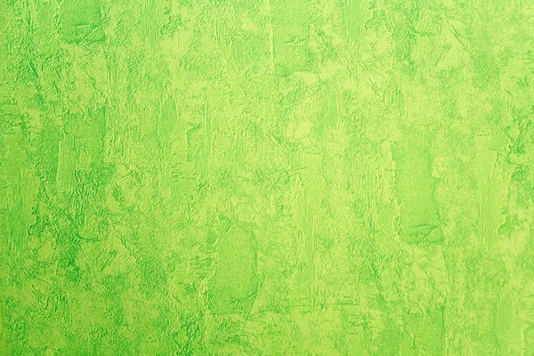 Vinyl Wallpaper on Green Vinyl Wallpaper   Stock Photo    Roman Sakhno  1948782