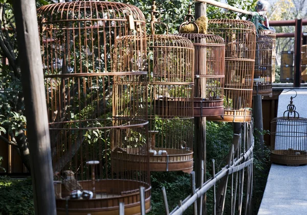 Bird cages in china