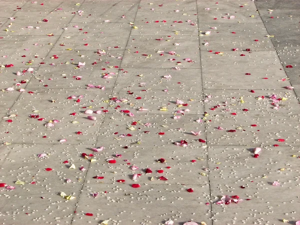 Sparse rose petals on the floor