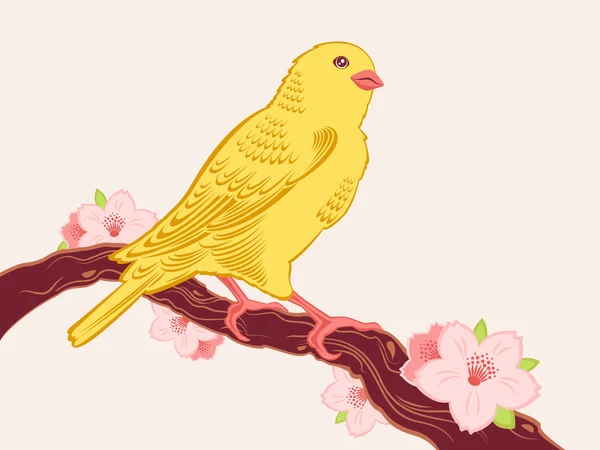 a drawn bird