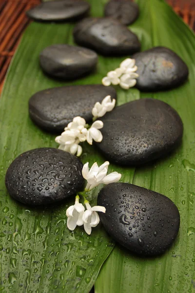 Spa background. Black stones and flowers