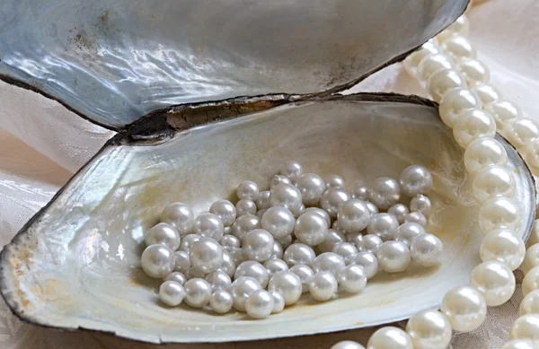 Oyster and pearls