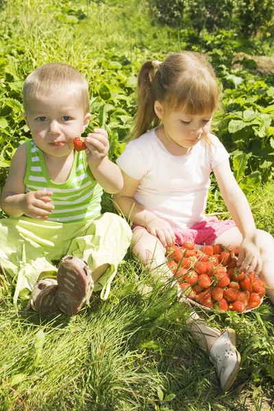 Child eating strawberries.