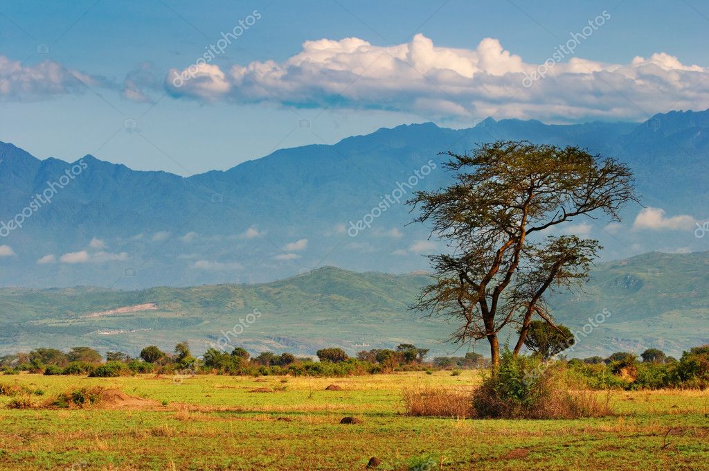 African Savannas