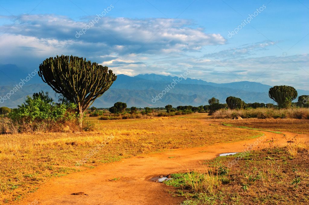 African Savannas