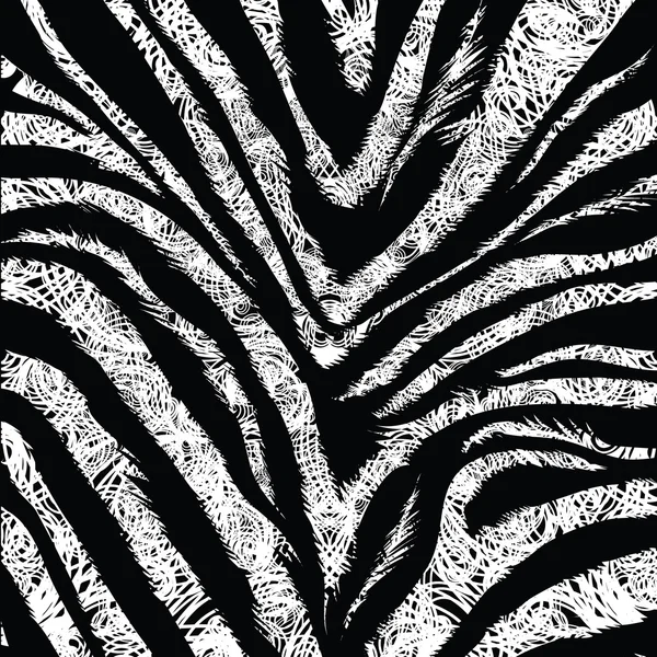 Zebra Background on Zebra Background   Stock Vector