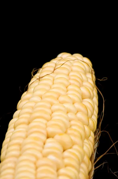Corn on black closeup by Aleksandr Ugorenkov Stock Photo