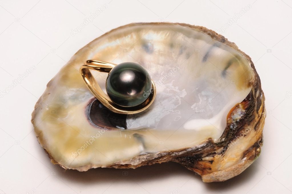 Oyster Shell Pearl