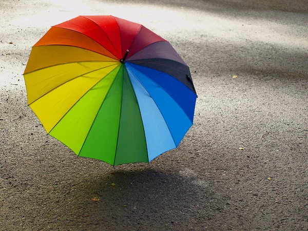 Colour umbrella on wet asphalt