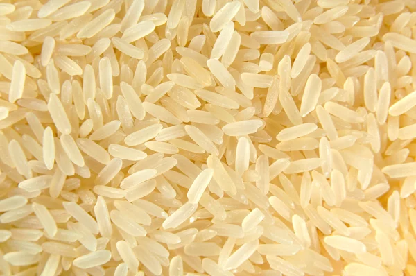 Rice — Stock Photo #1632841