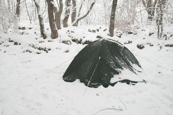 Winter camp in the forest