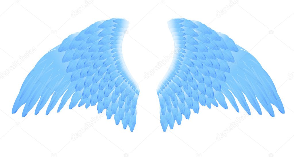 Blue angel wings vector illustration