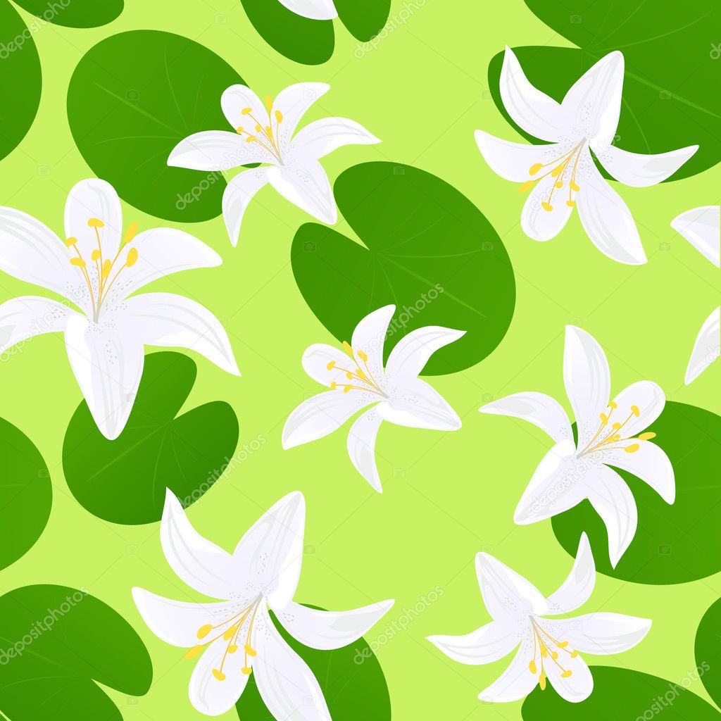 lily background pictures