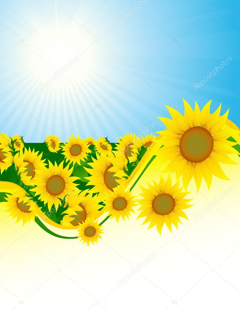 Fondo de girasol vector gráfico vectorial alegria imagen 1708523