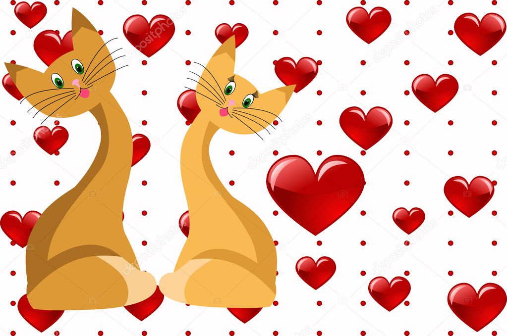 cat heart love