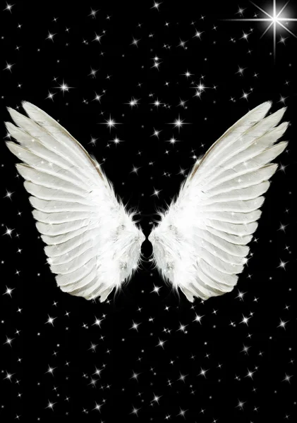 Angel Wings Big Stock Photo To modify this file you will need a vector 