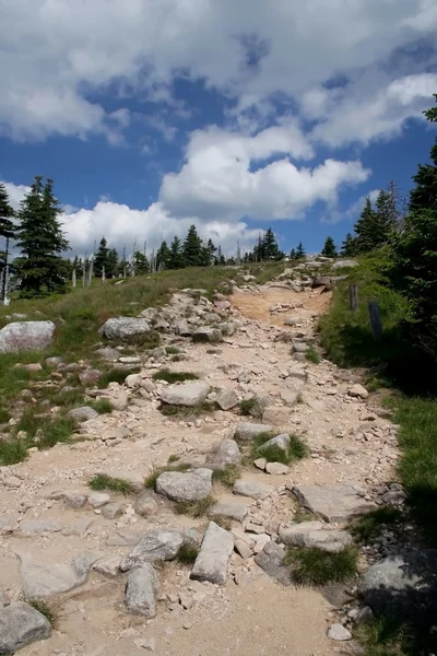 Rocky path in mountains