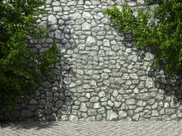 ivy stone wall
