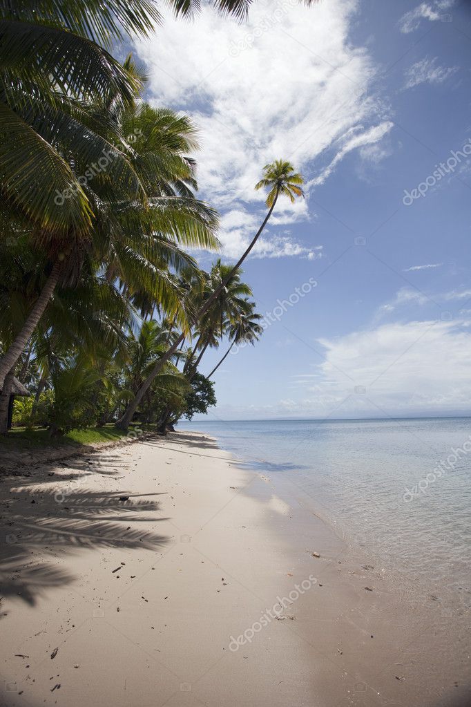 Tropical Beach Fiji