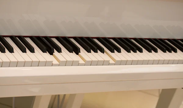 Self playing white piano keys