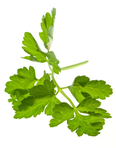 Sprigs Parsley