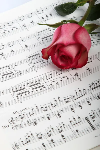Pink rose on sheet music