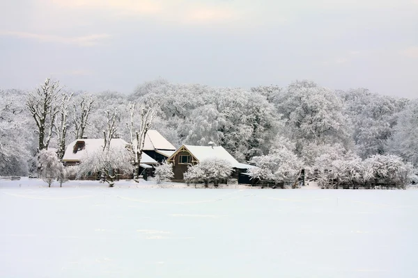 Winter farm in the snow