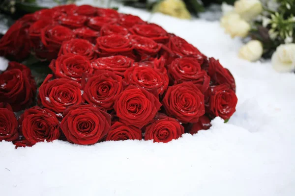 Red rose bouquet in the snow