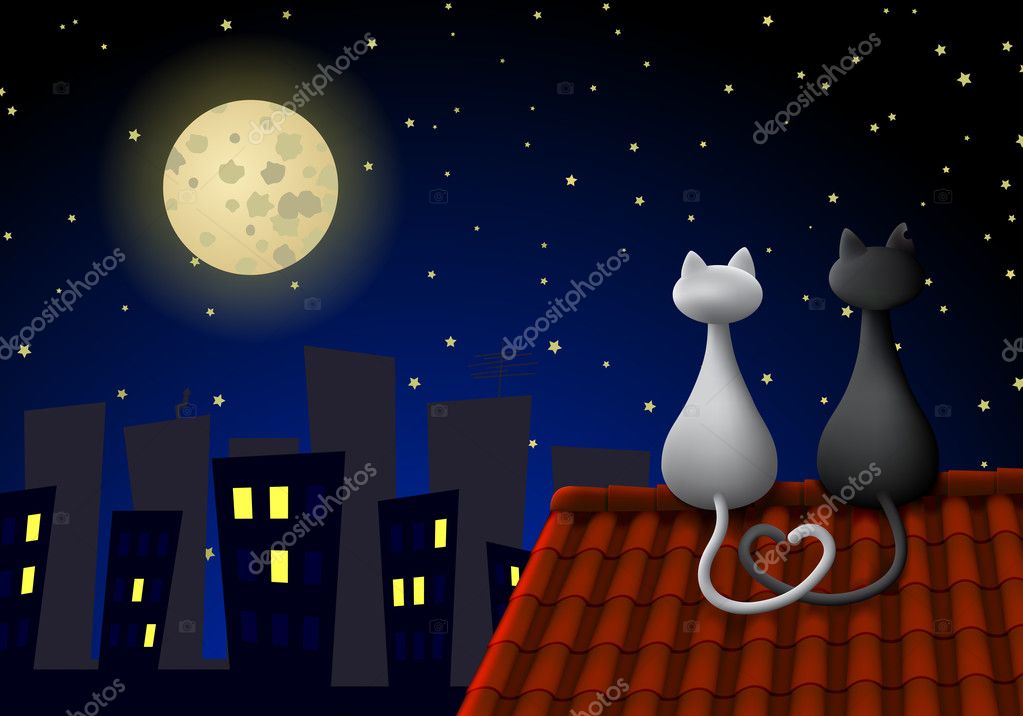 Image result for One Cat on city roof watching moon
