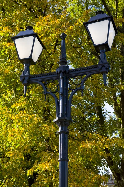 Park light