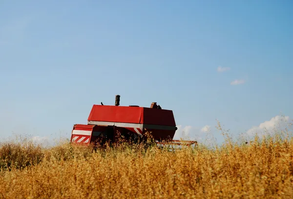 Red grain harvester combine