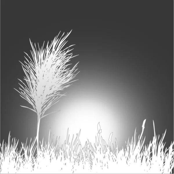 black and white background pictures. Black and white background .