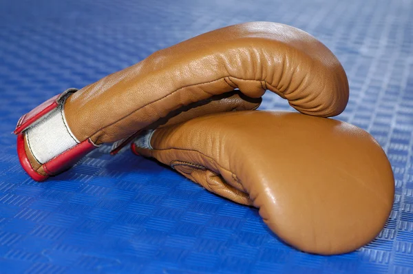 Boxing Gloves on the Blue Mattress