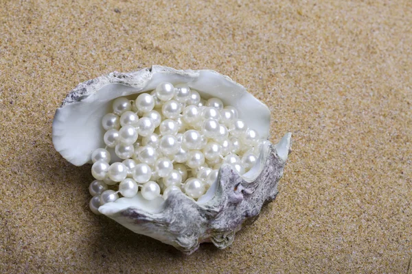 Exotic sea shell with a pearl beads lies